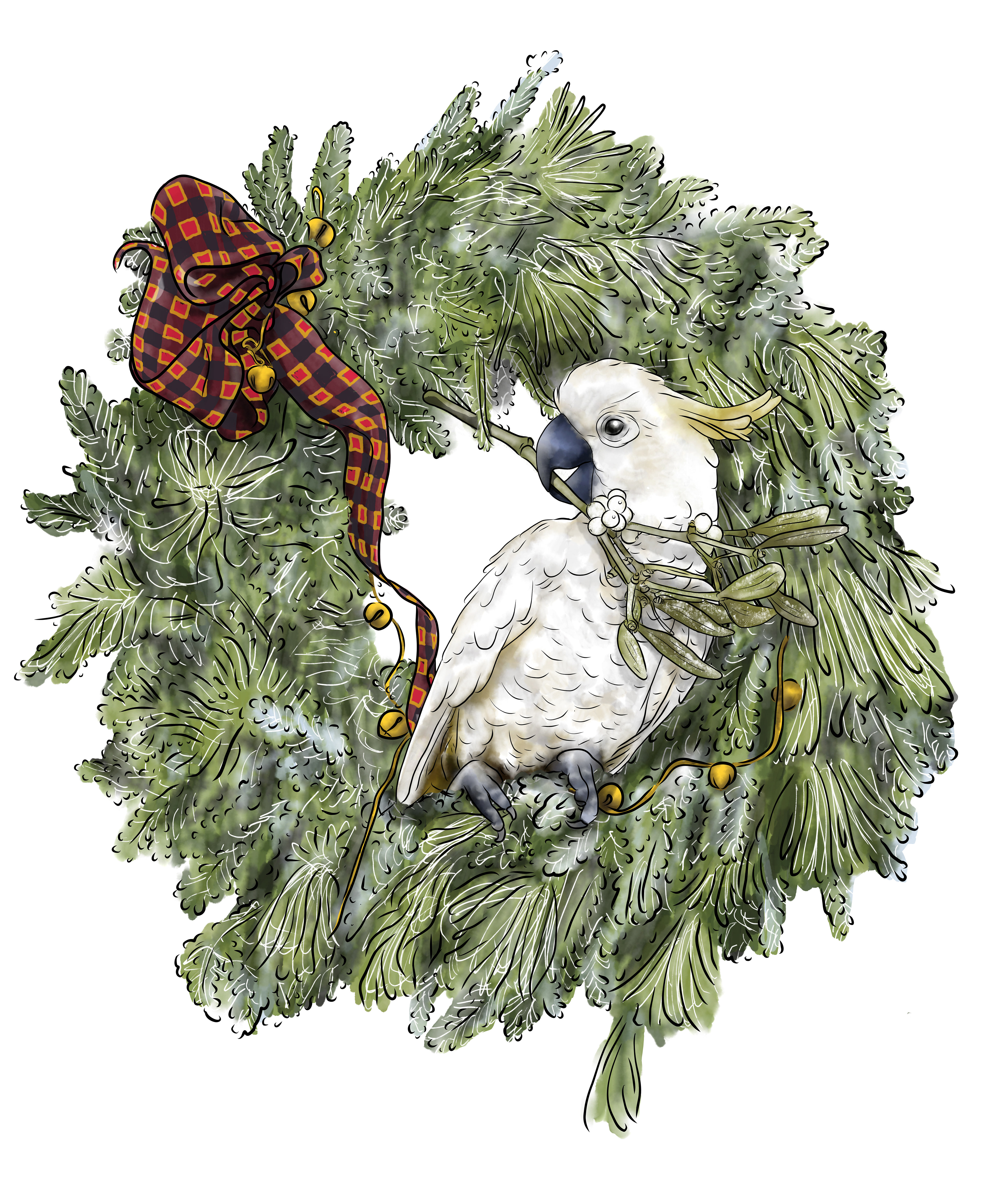Cooing Cockatoo