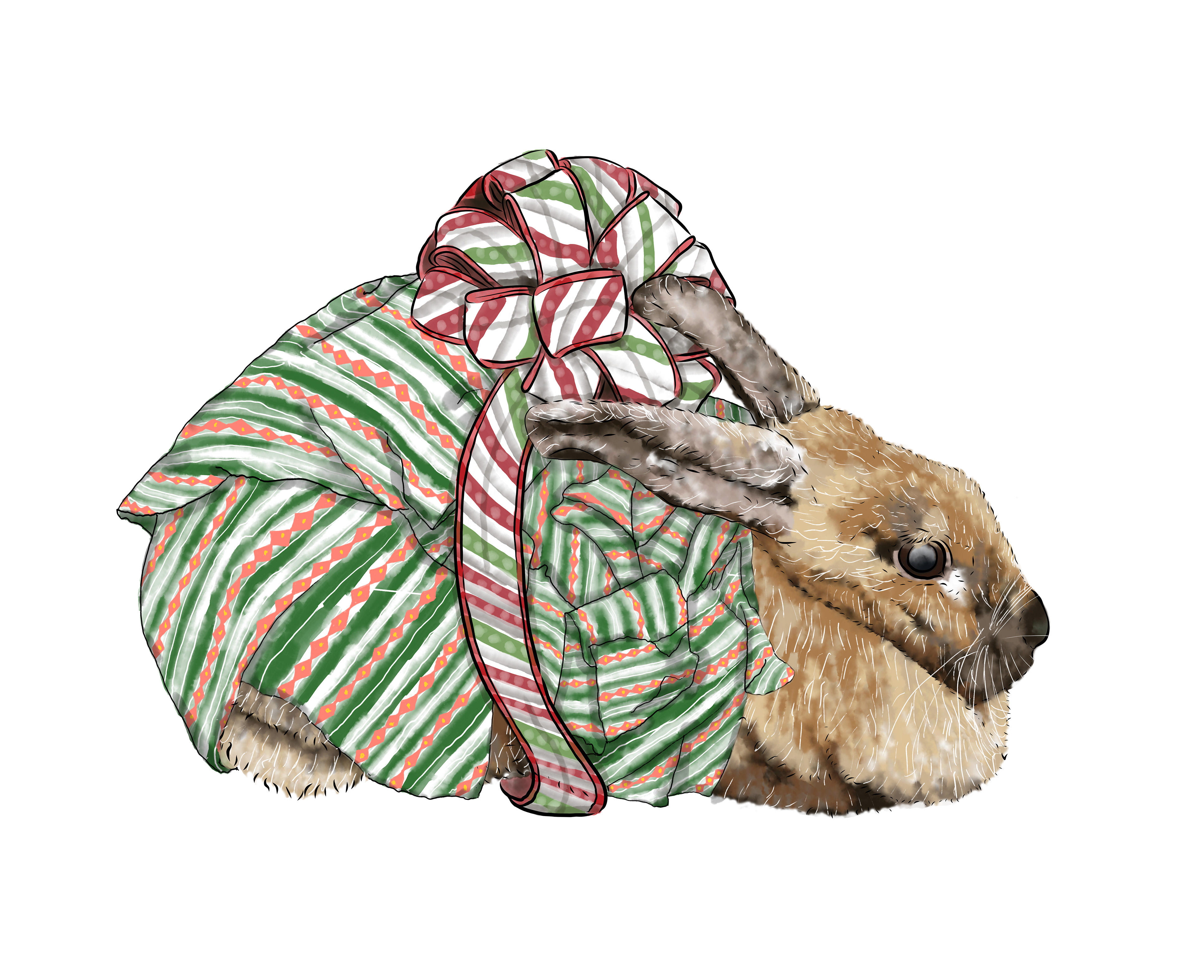Restless Rabbit