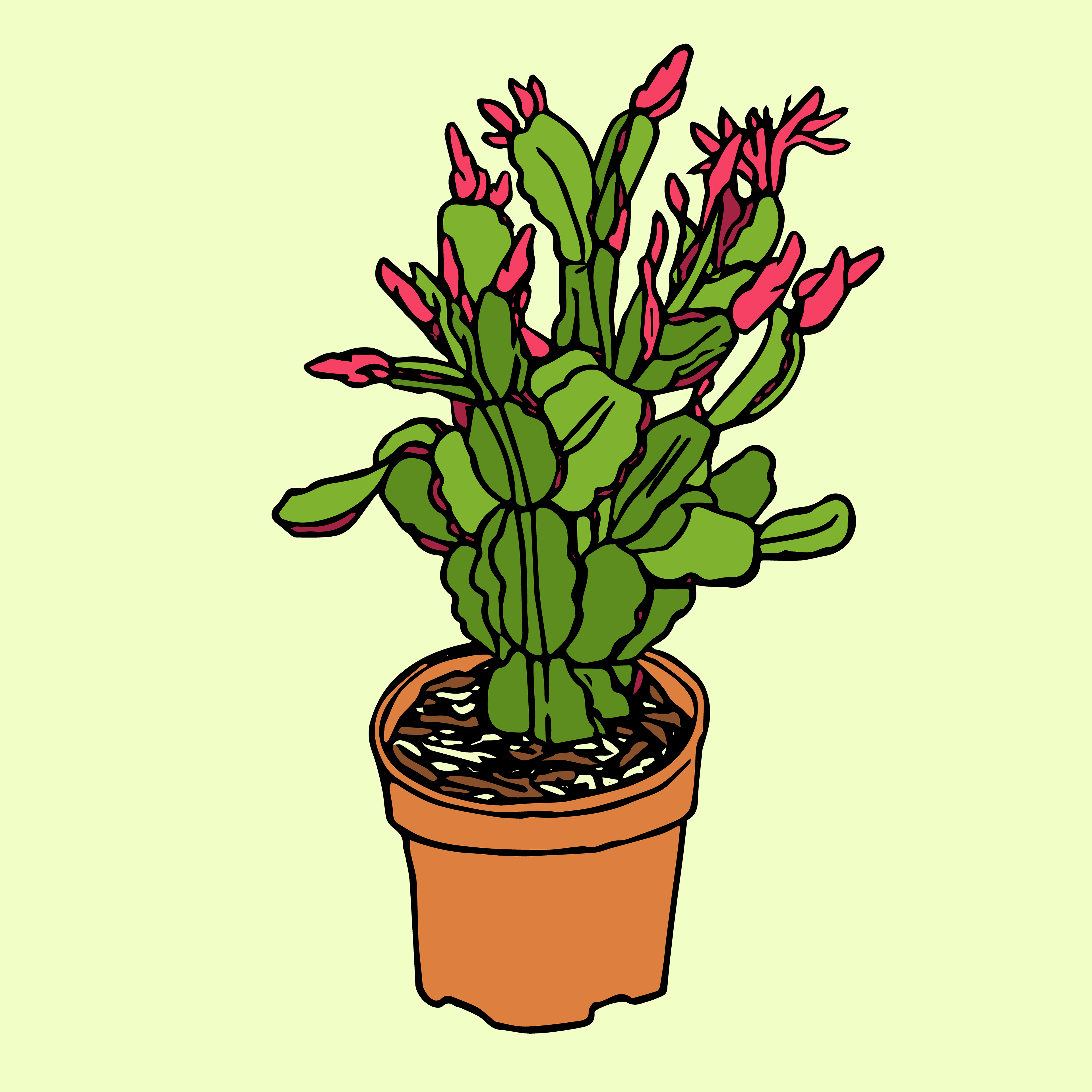 Day 11/14: spring cactus