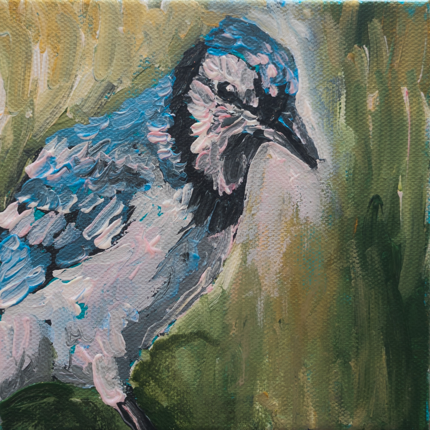 Chirp Chirp 03