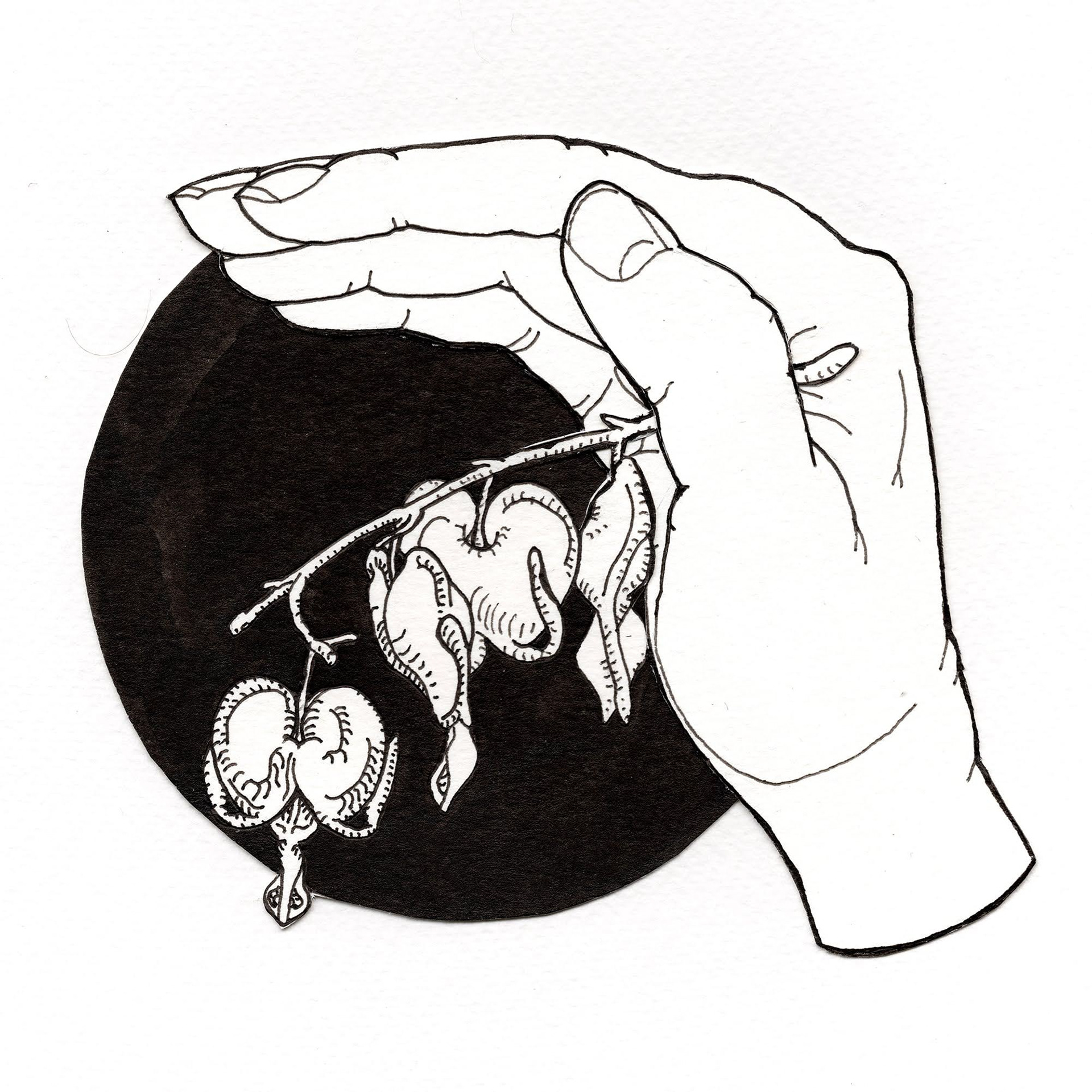 Heart in my hand, 2020