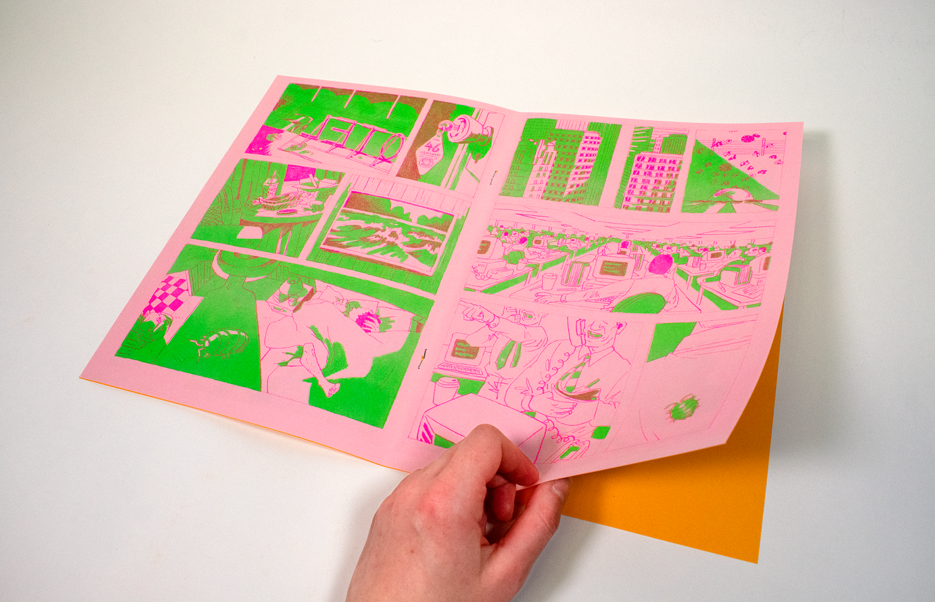 pages 2 & 3