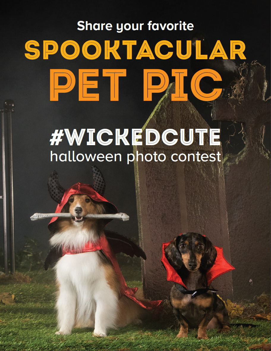 Halloween pet costume promo