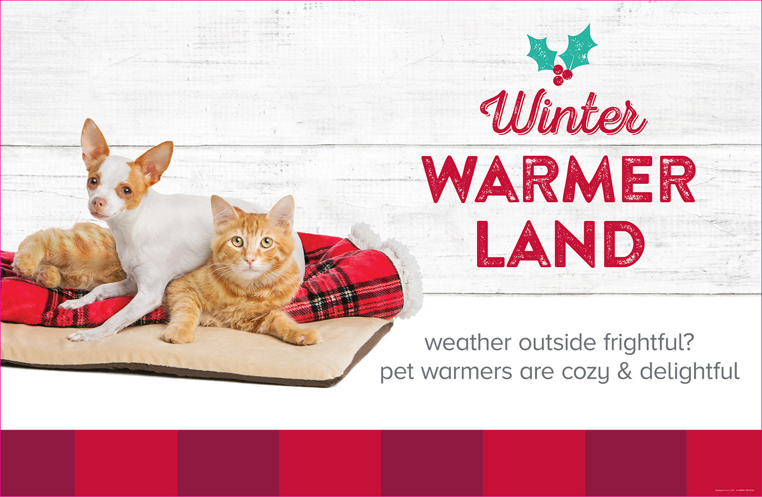 Holiday season display for pet care products