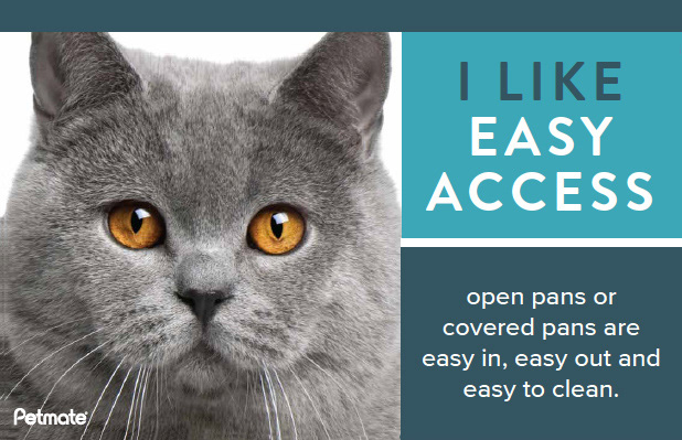 Display for cat care products
