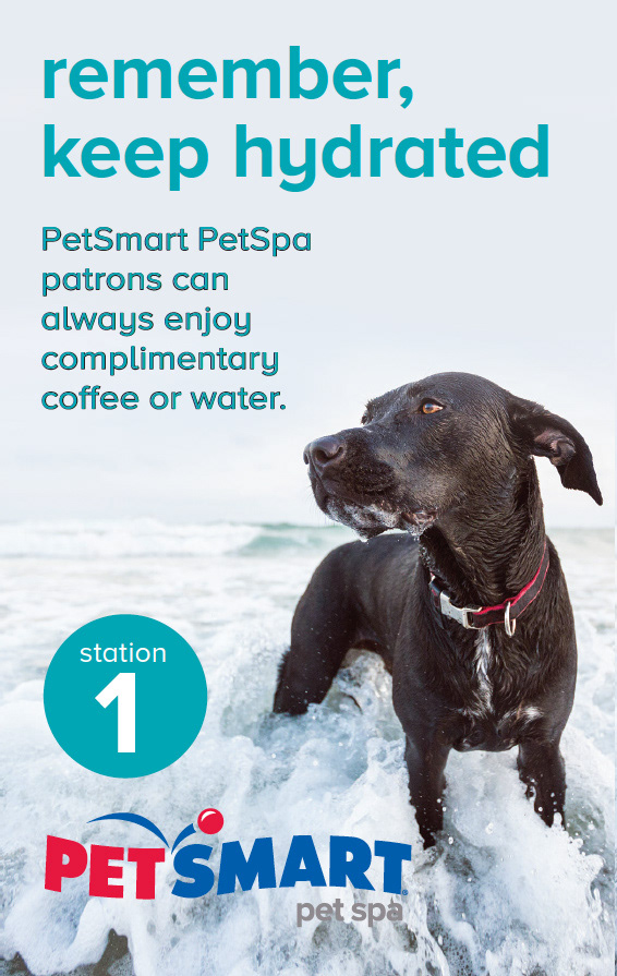 Pet Spa station card