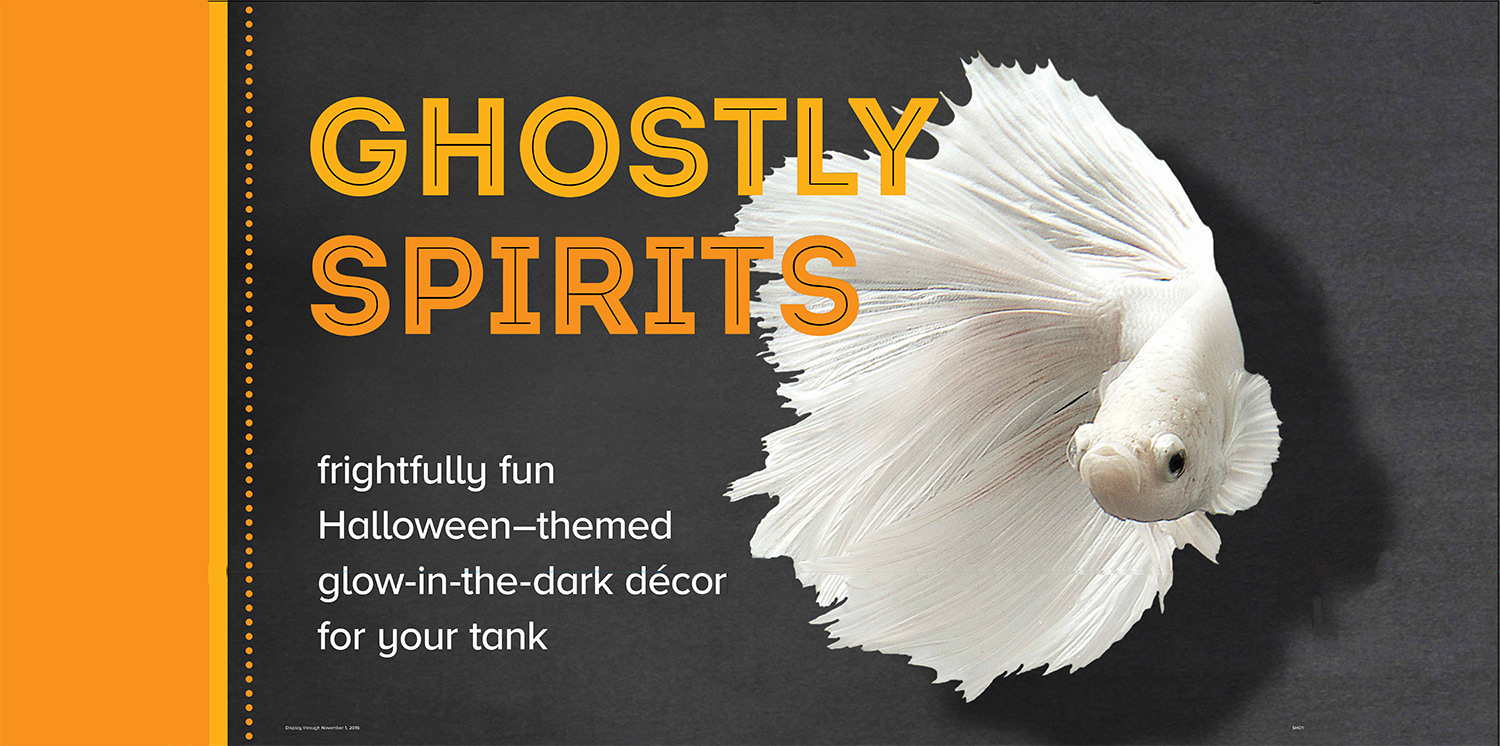 Halloween display for fish products