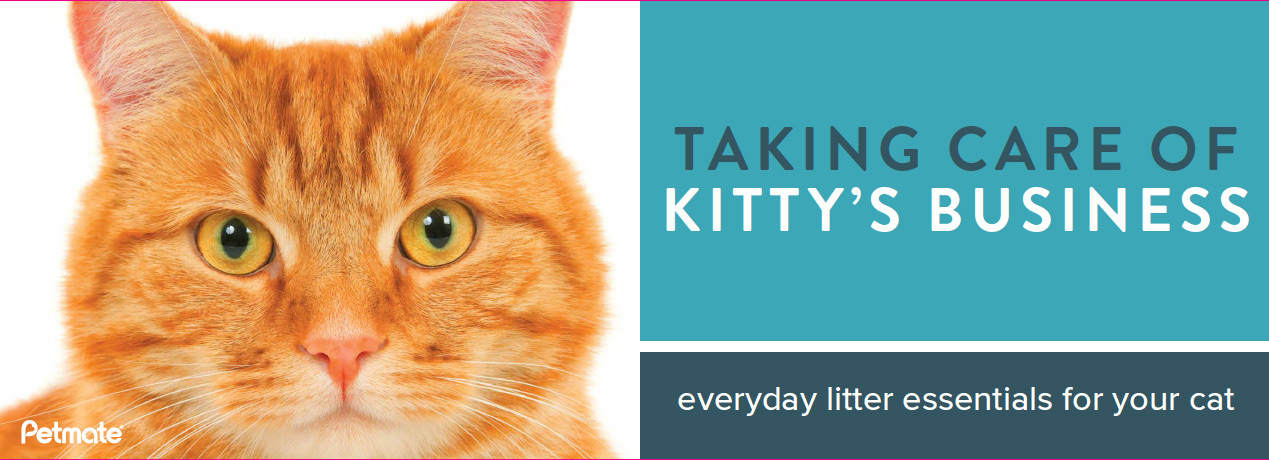Display for cat care products