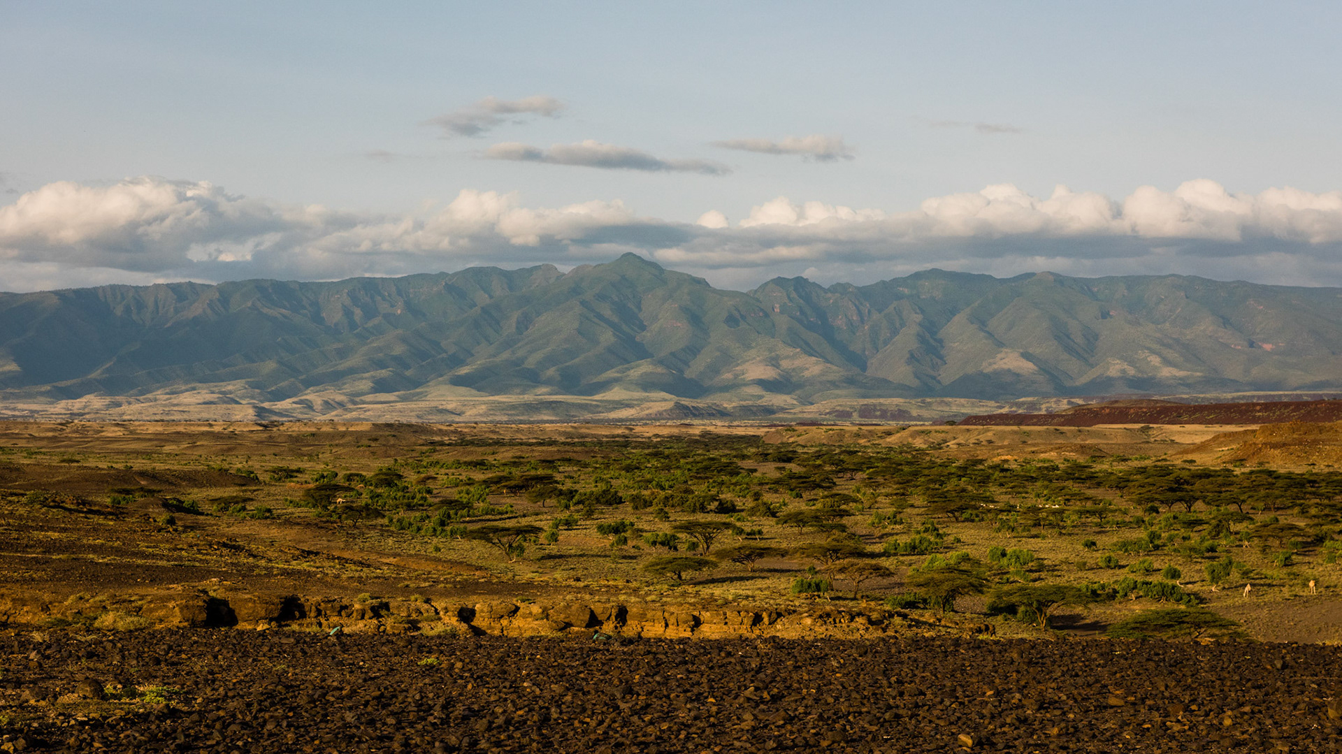 Amboseli, Kenya