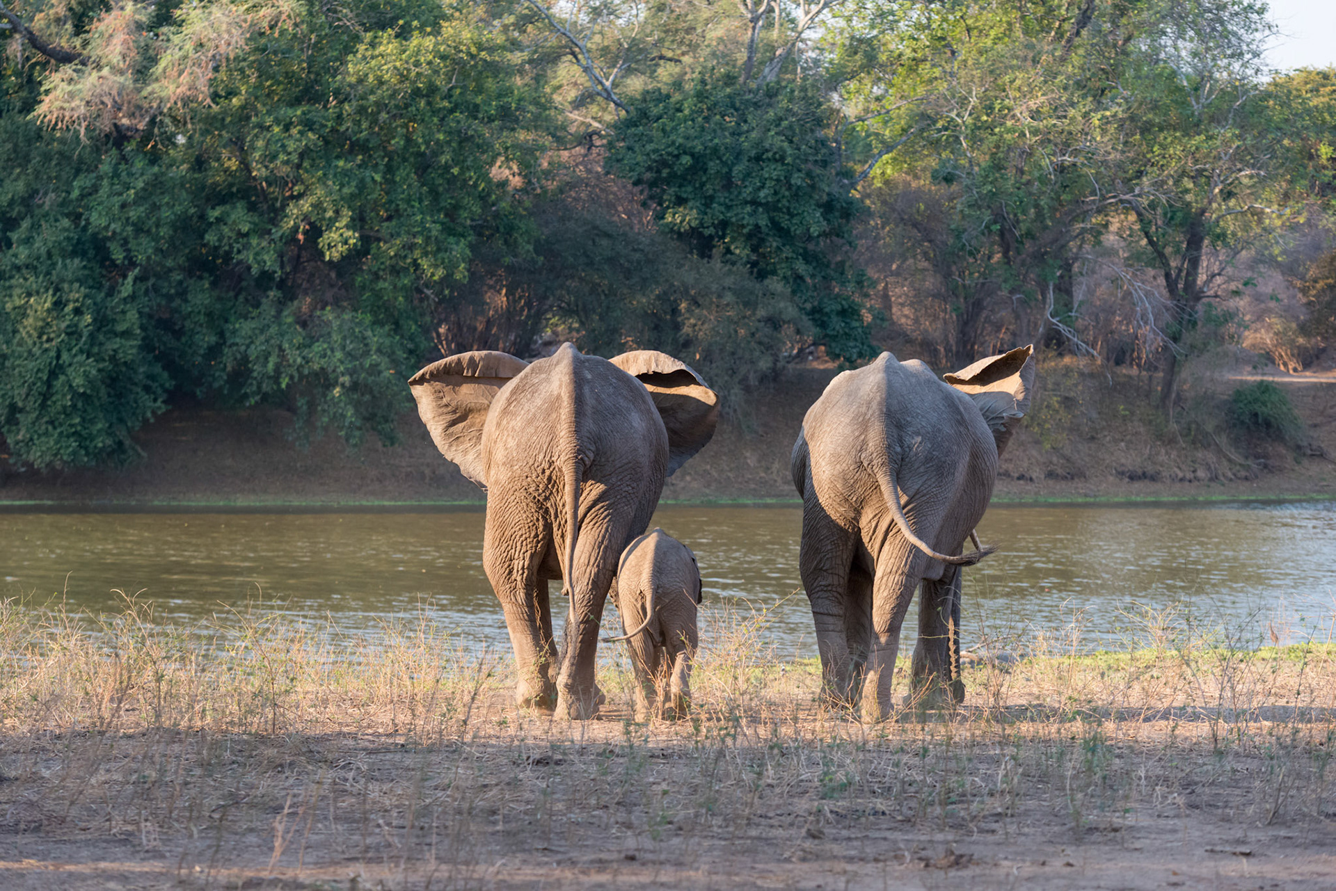 Mana Pools, Zimbabwe