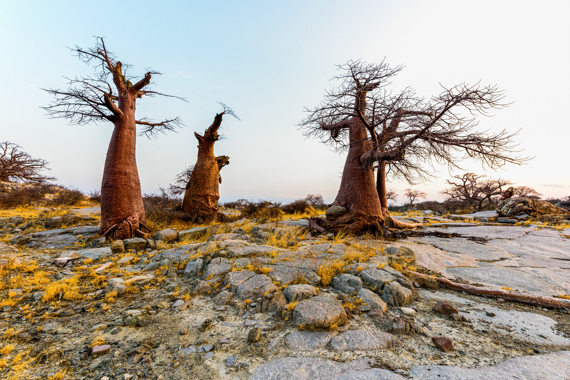 Kubu Island, Botswana