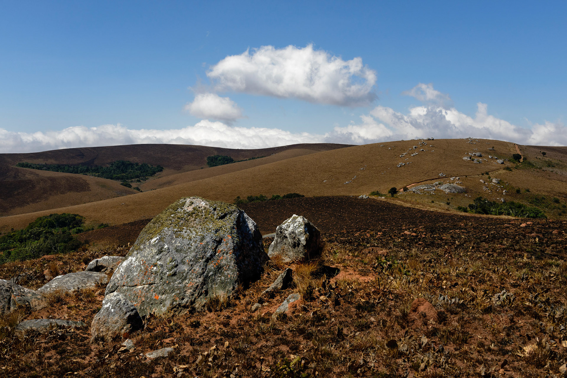 Nyika Plateau, Malawi