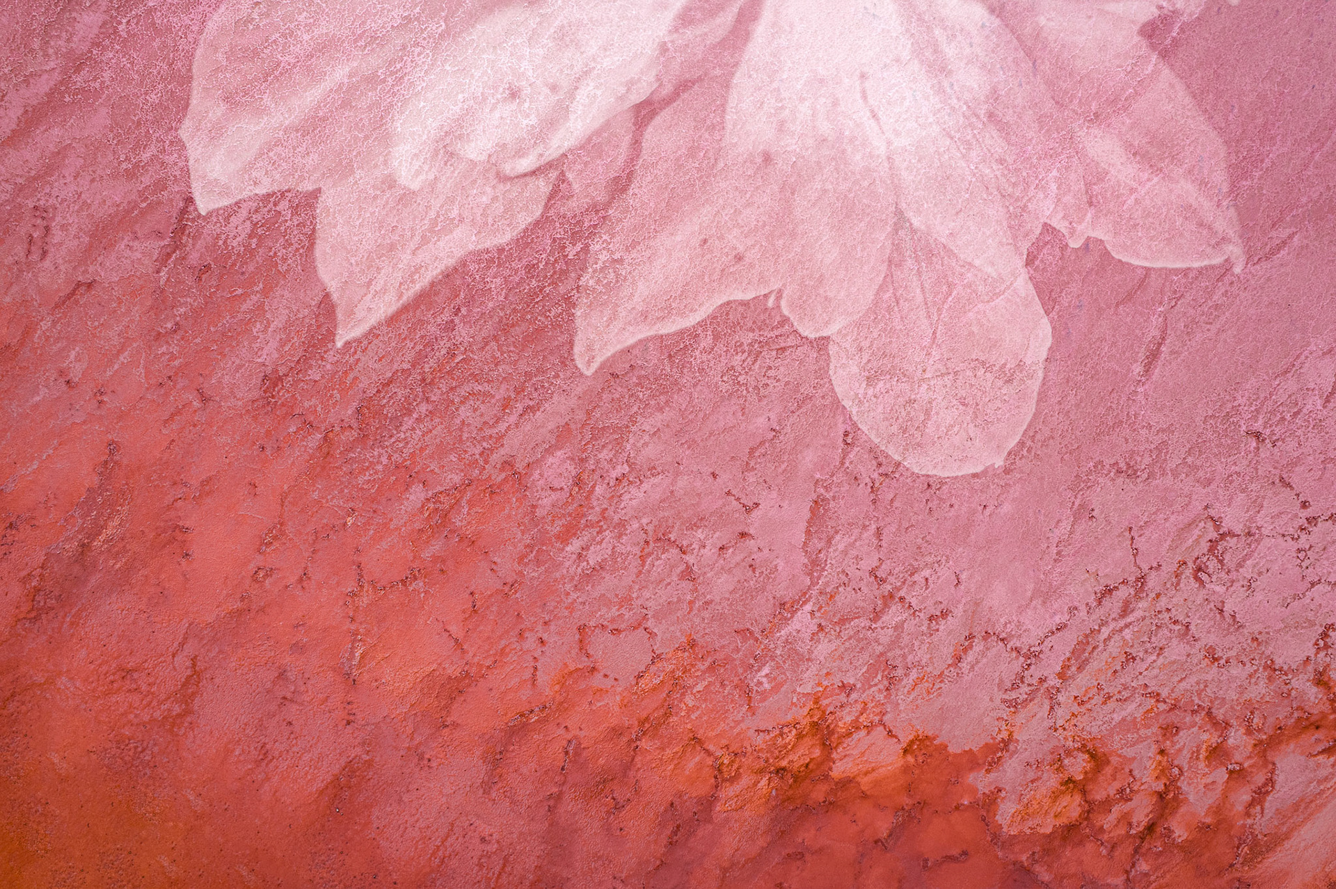 Abstract Texture Series Exploring contrasting textures and colours