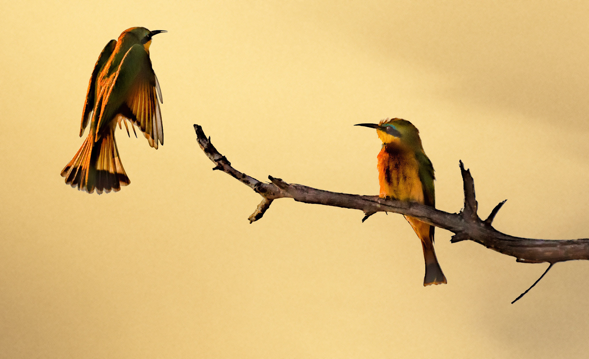 Caprivi, Northern Namibia