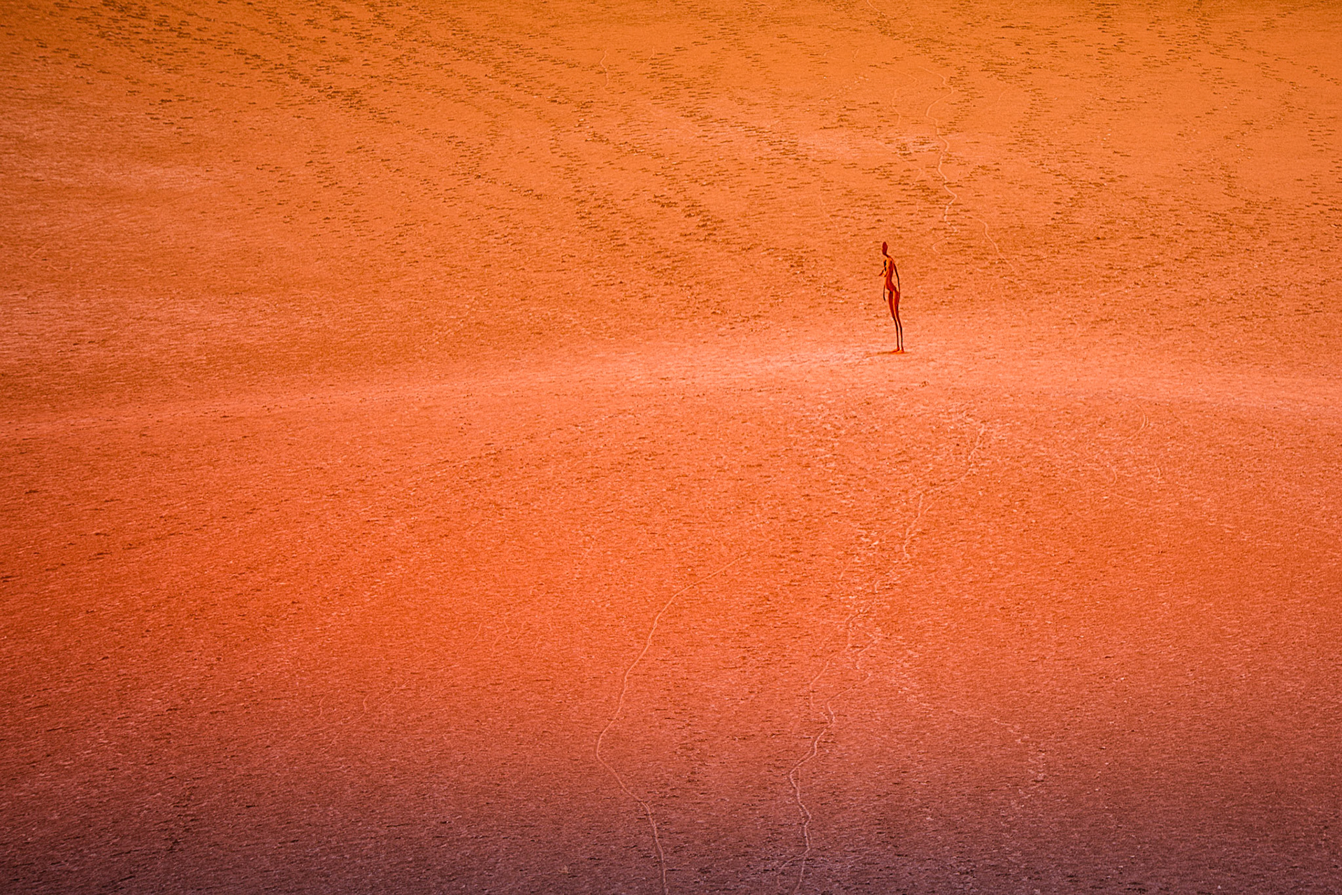 Songlines / We camped here for three days to try and get some shots in different light. Lake Ballard, Western Australia. The statues and the setting are truly spectacular