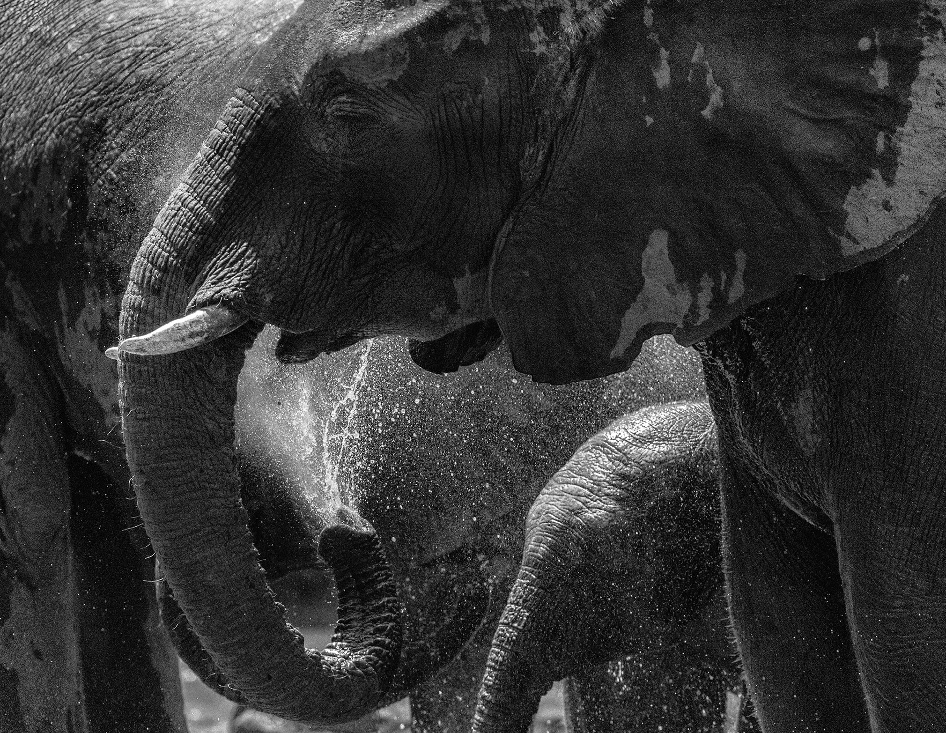 Majete NP, Malawi