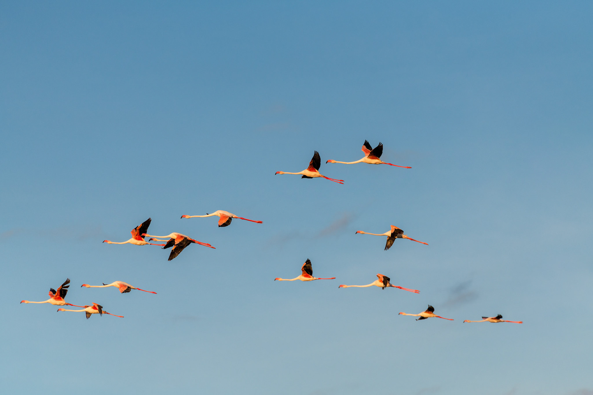 Amboseli, Kenya