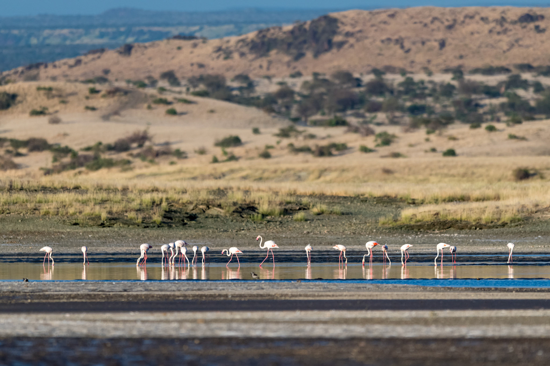 Amboseli, Kenya