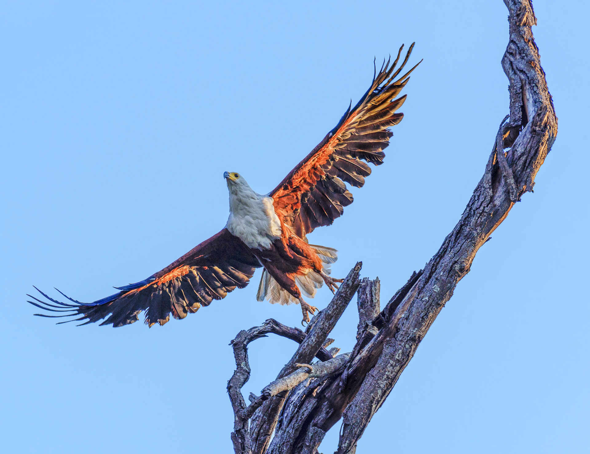 Shakawe, Botswana