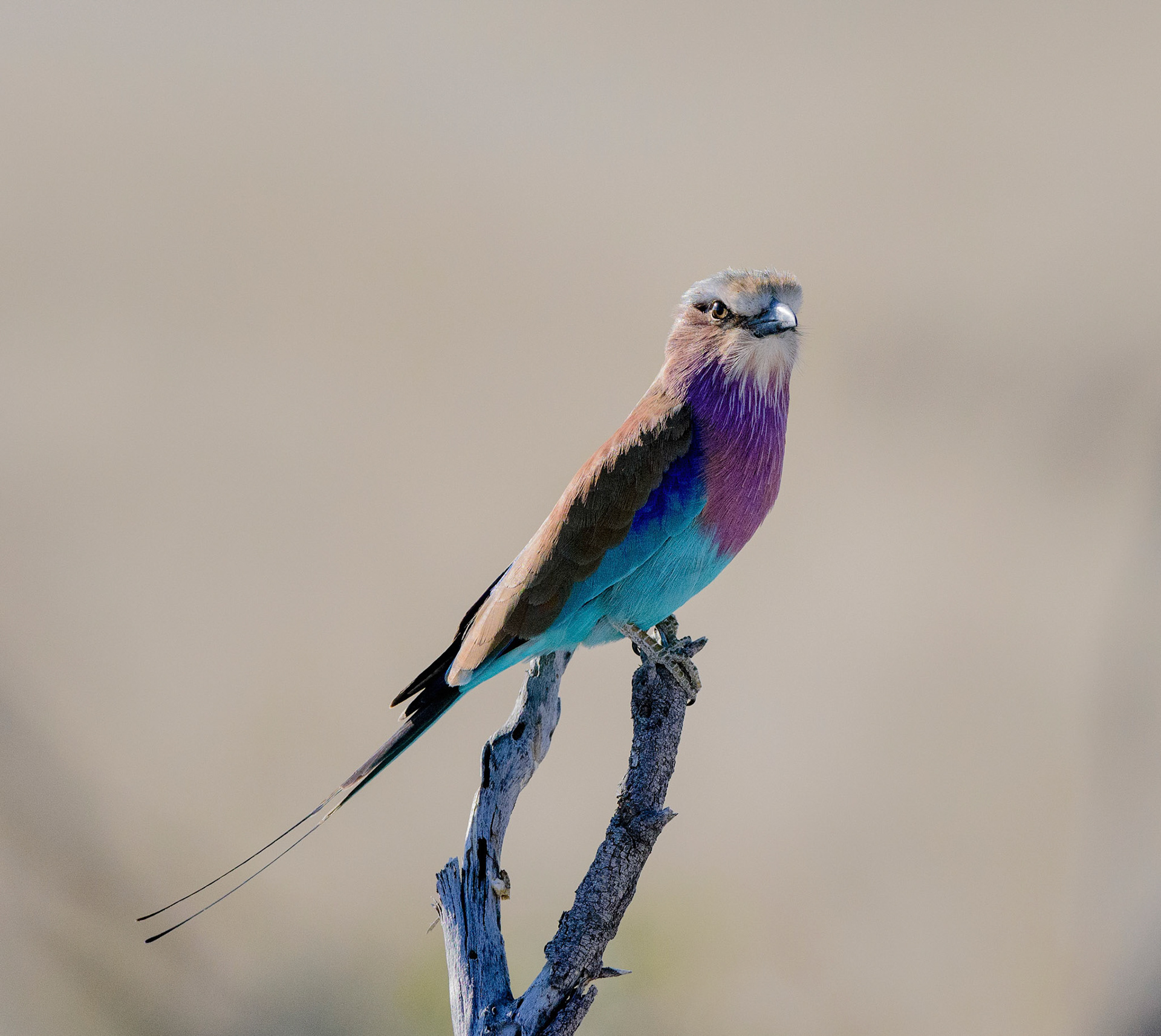 Twyfelfontein, Southern Namibia
