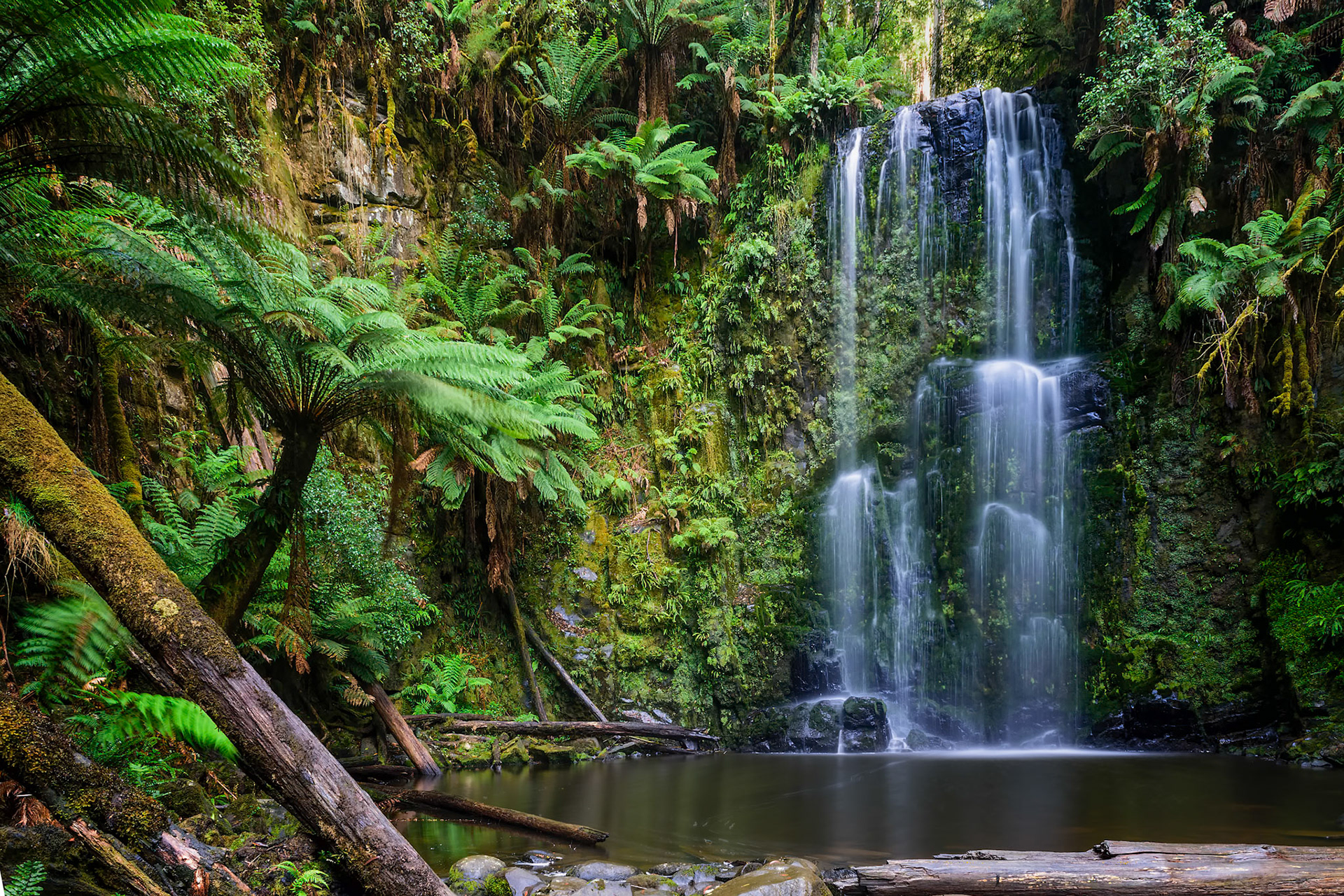 Beauchamp Falls / Otway National Park, VIC, Australia