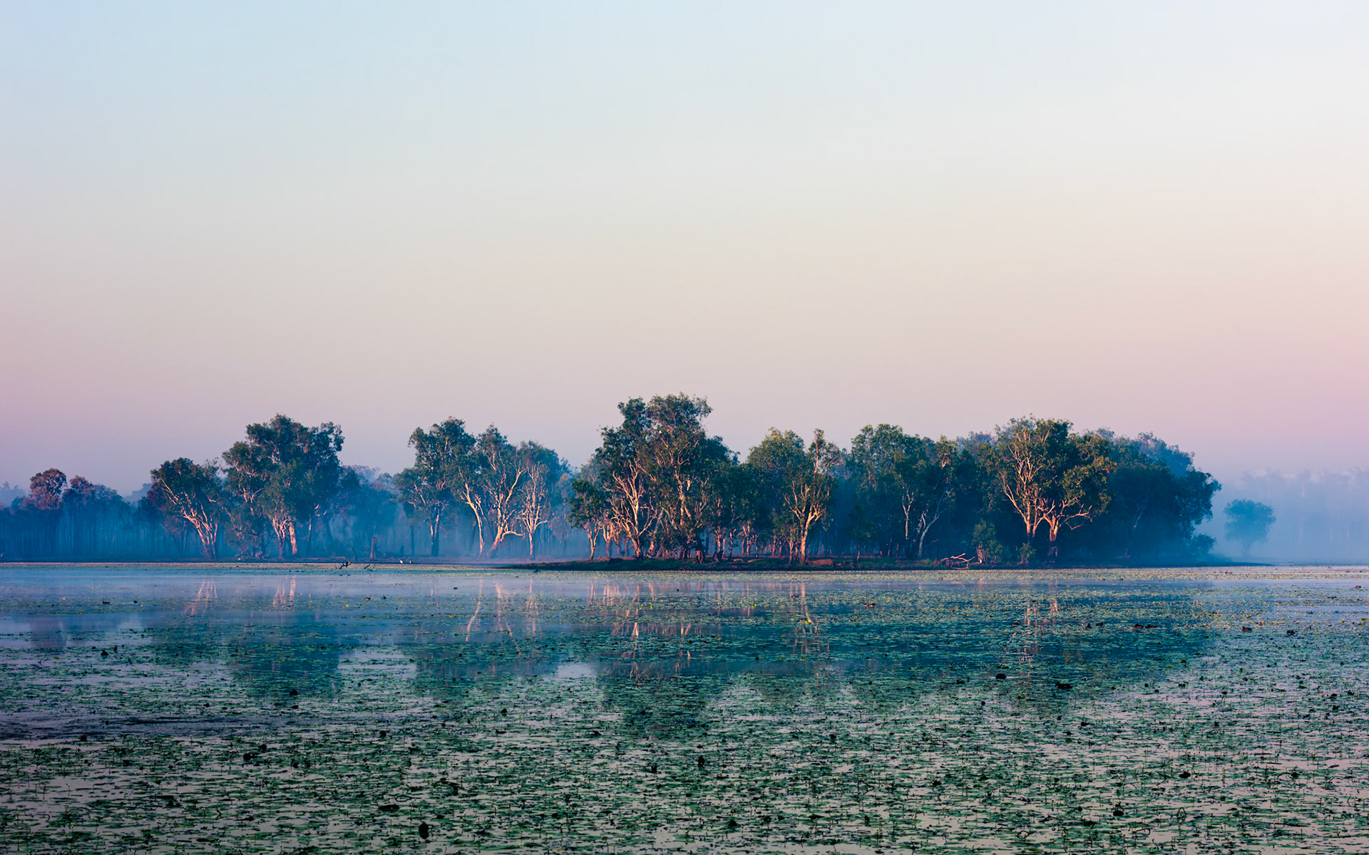 Title: Smoke on the Water / Caption: This bushfire ran across the country for two weeks before it reached Sandy Billabong in the Kakadu National Park. I spent an evening and a morning taking photos of this bush fire which passed or camp during the night.
