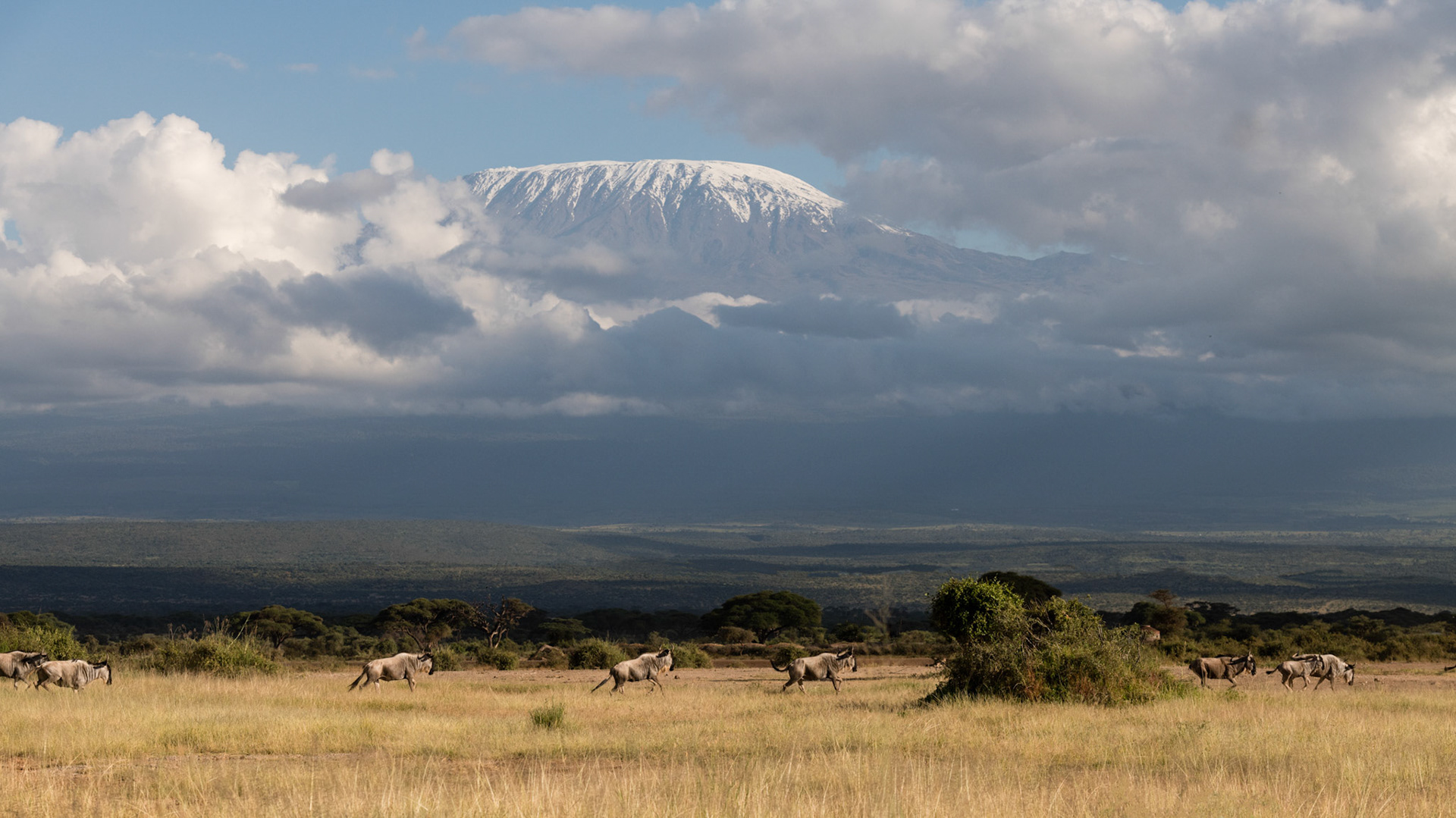 Amboseli, Kenya