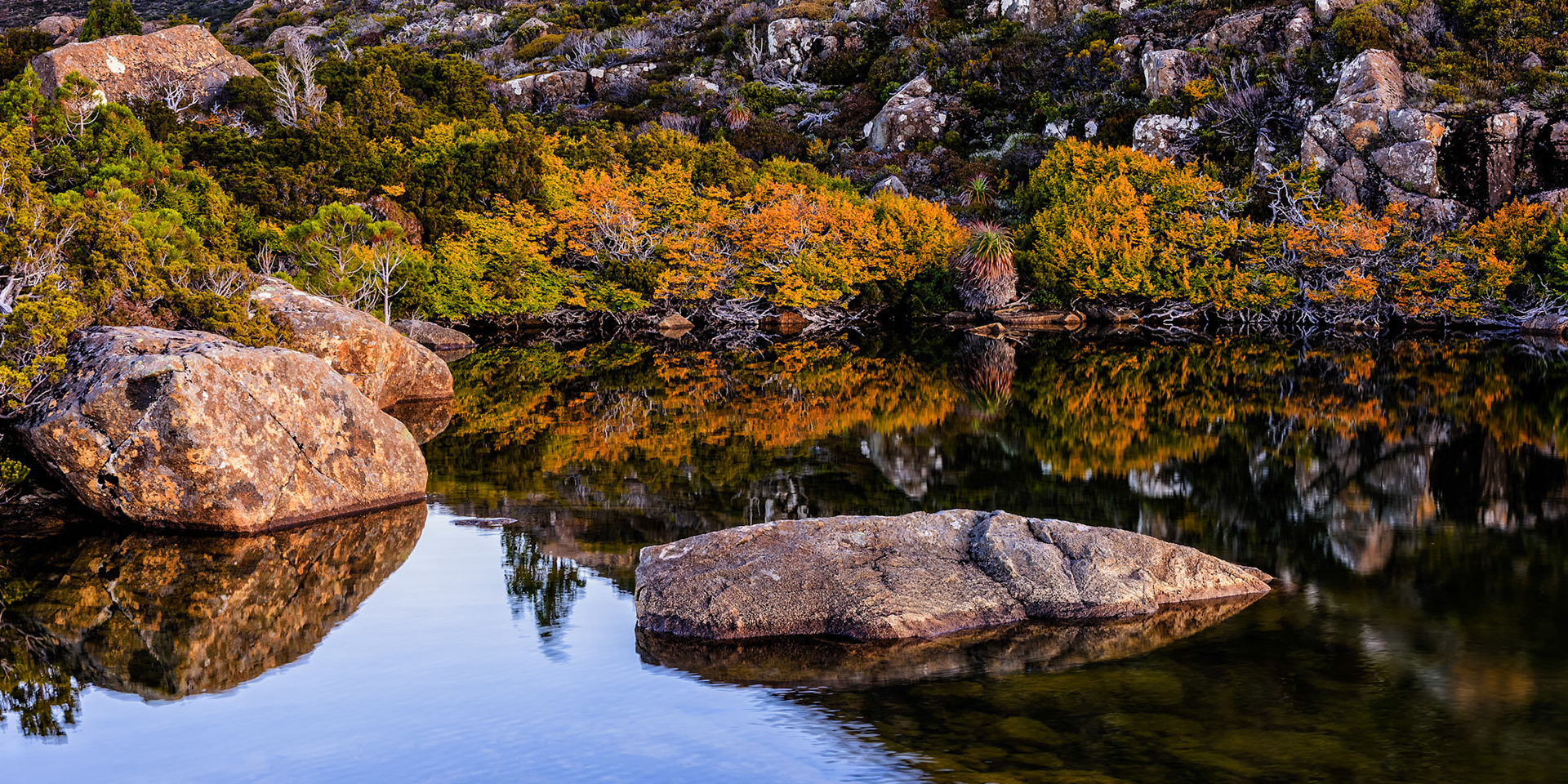 Fagus Reflected #1 / The Tarn Shelf in Mt. Field National Park is one of my top spots in Australia for the glory of the views across the mountains, tarns and lakes. You need to be fairly fit to walk up here, but its worth it. The colours of the autumn foliage of the Fagus Beech is very special. It is Australia's only native decuous plant and is only found in the Tasmanian High Country.