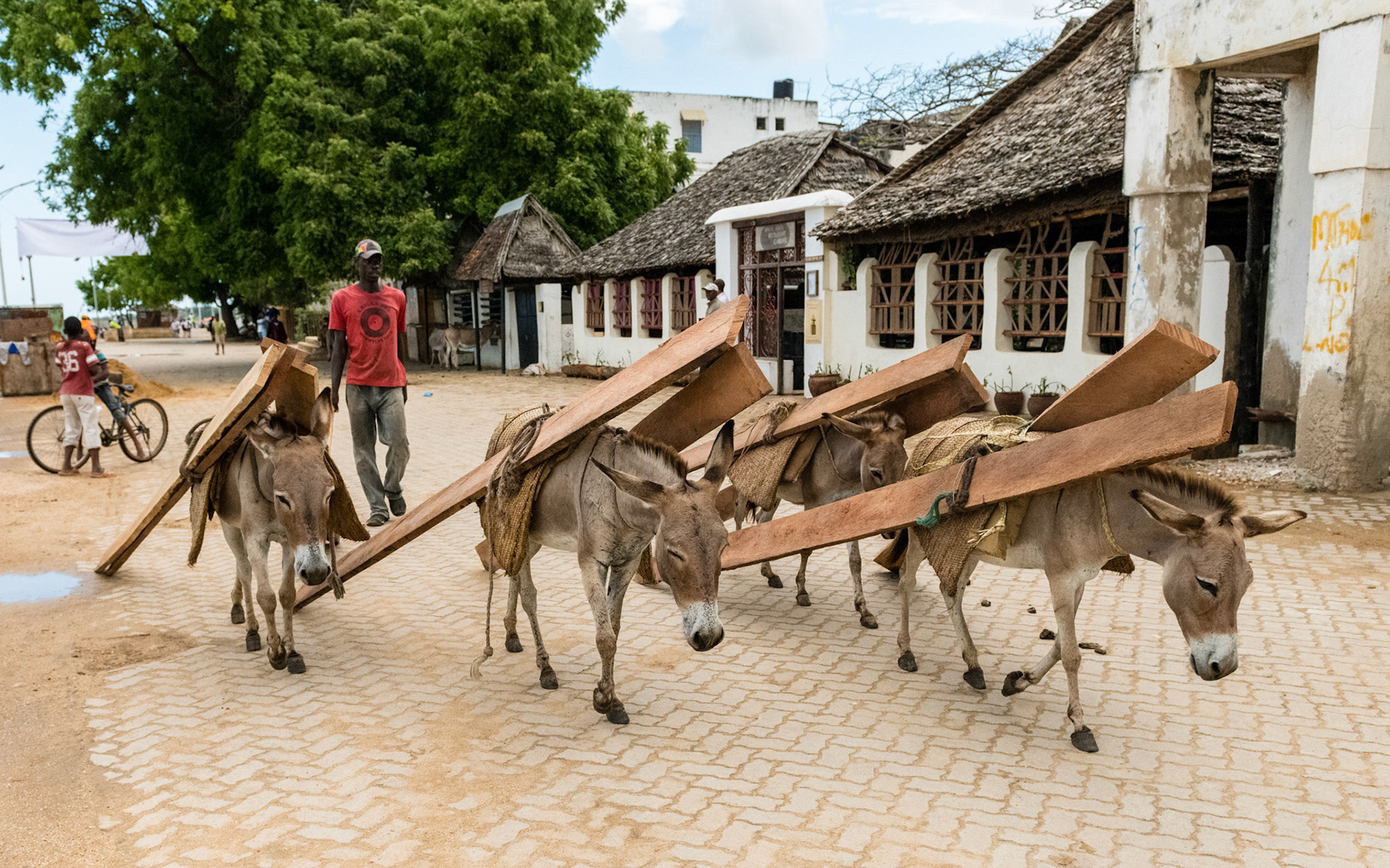 Lamu, Kenya