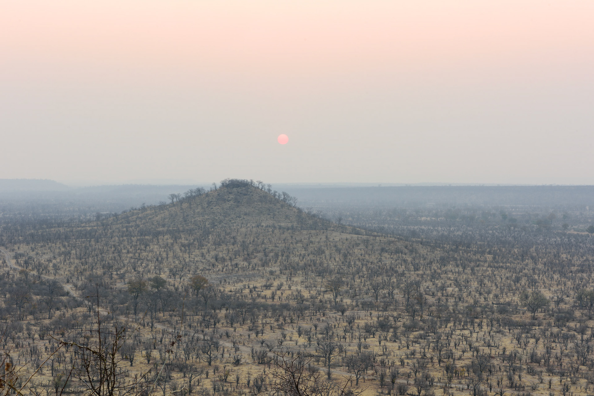 HwangeNP, Zimbabwe