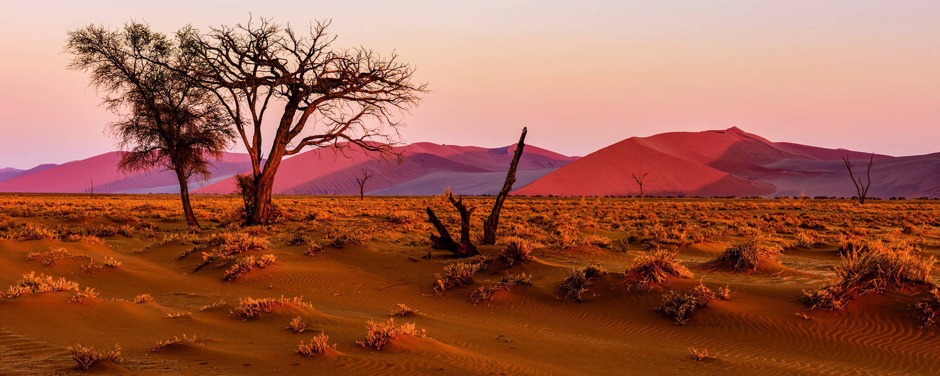 Sossusvlei, Southern Namibia