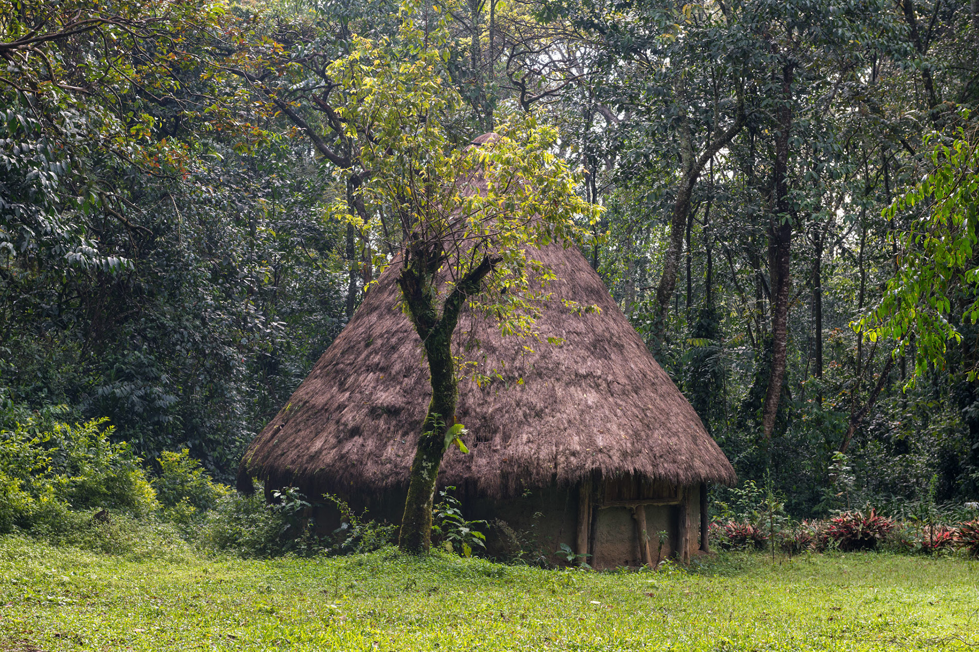 Africa
