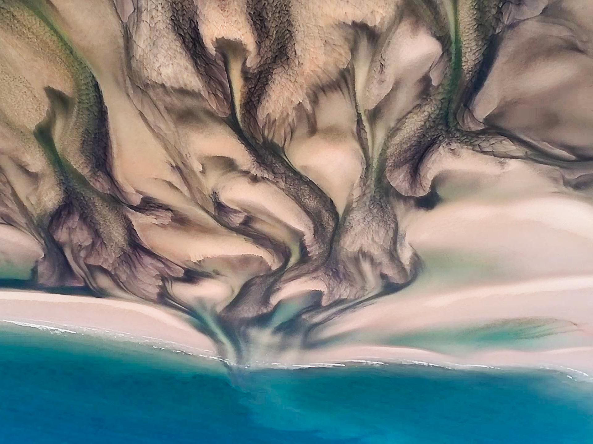 Rainforest, Queensland, Australia