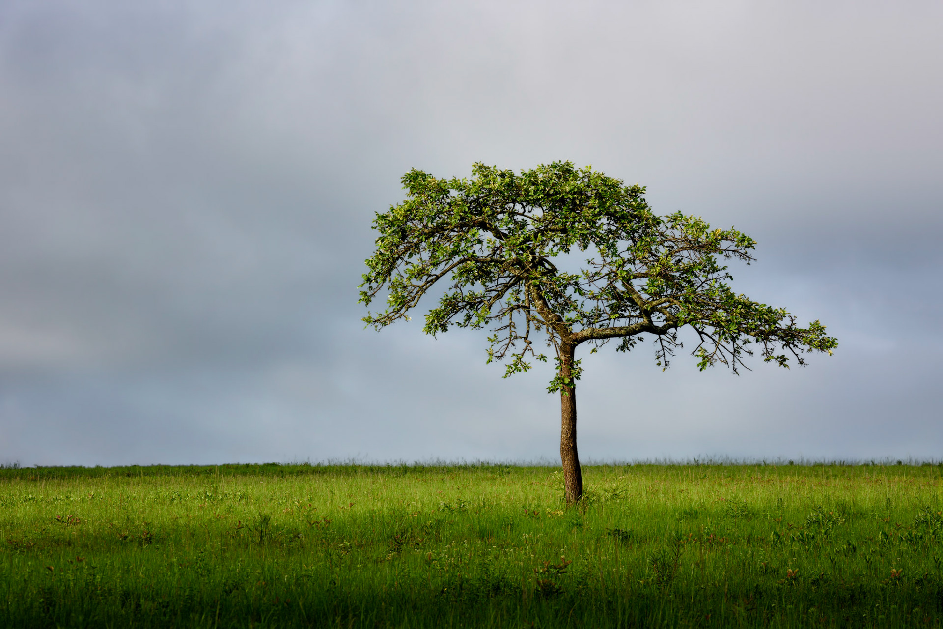 Mbuluzi NP, Lebombo Conservancy, Swaziland