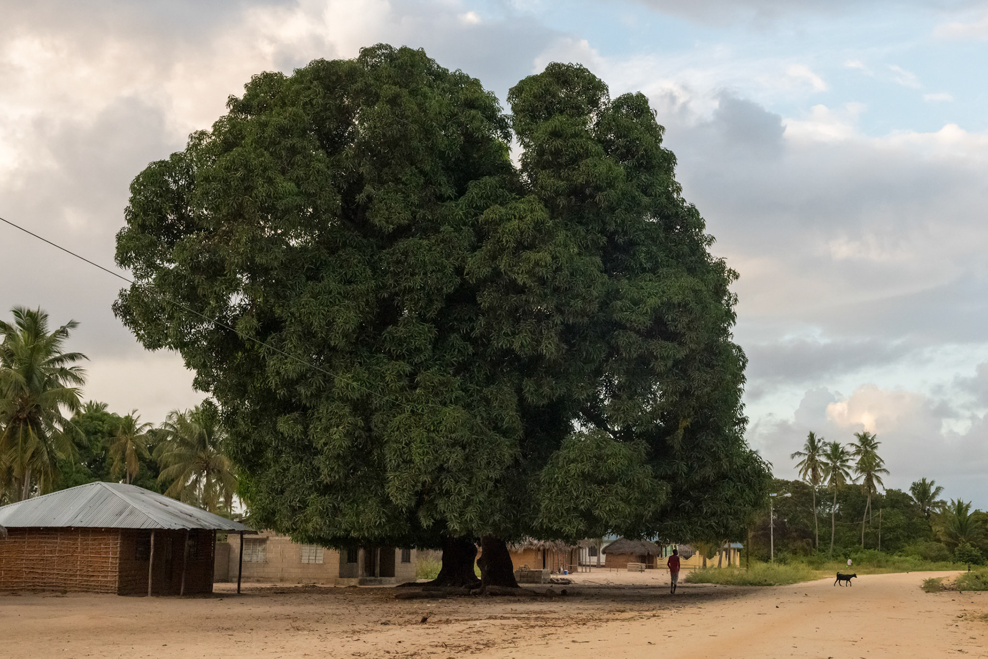 Mozambique