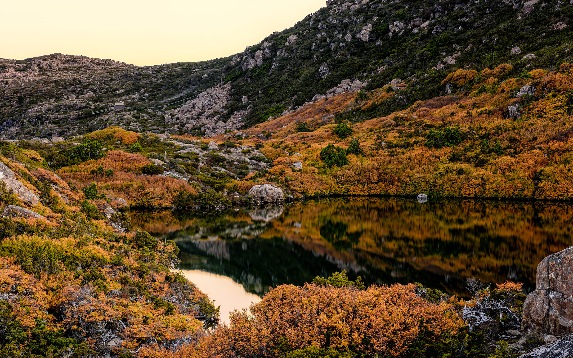 Fagus Reflected #3 / The Tarn Shelf in Mt. Field National Park is one of my top spots in Australia for the glory of the views across the mountains, tarns and lakes. You need to be fairly fit to walk up here, but its worth it. The colours of the autumn foliage of the Fagus Beech is very special. It is Australia's only native decuous plant and is only found in the Tasmanian High Country.