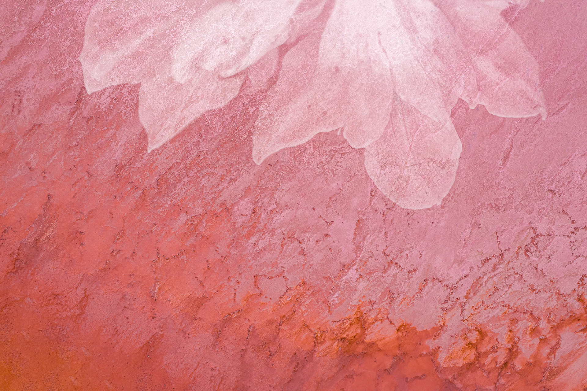 Abstract Texture Series