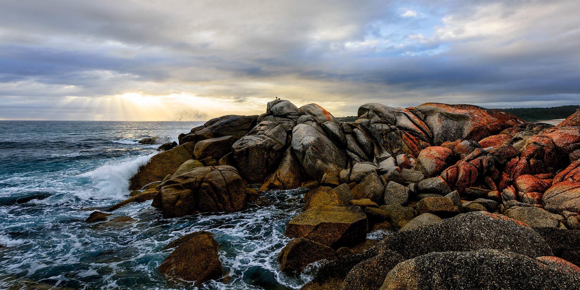 Dawn Sentinels / Another stop in the Bay of Fires, Tasmania, Australia. The orange lichen on the rocks is very distinctive.