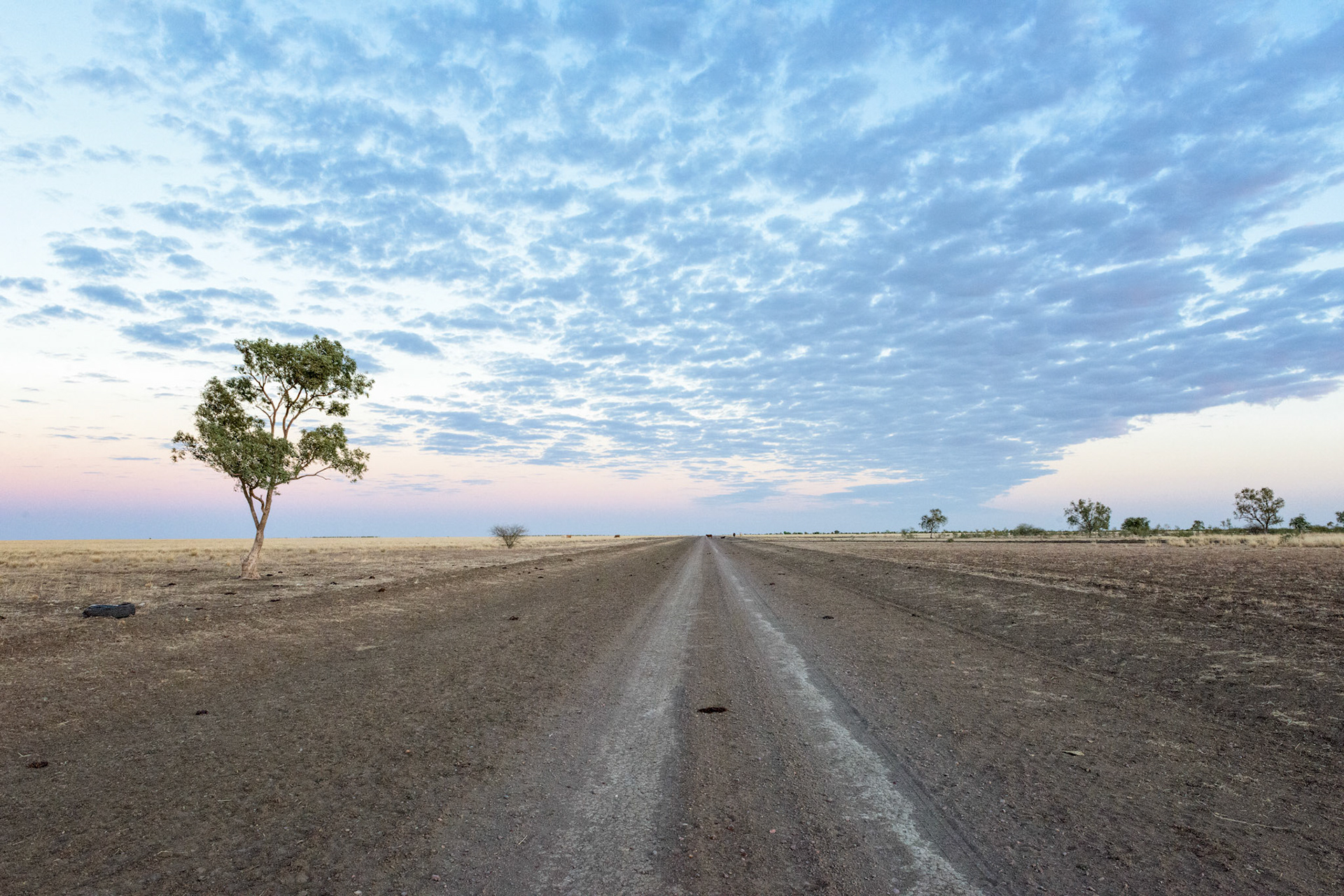 Title: How Far is it? /  Some of the biggest horisons in Australia can be seen as you travel across the seemingly barren Barkly Tablelands in the Northern Territory, Australia