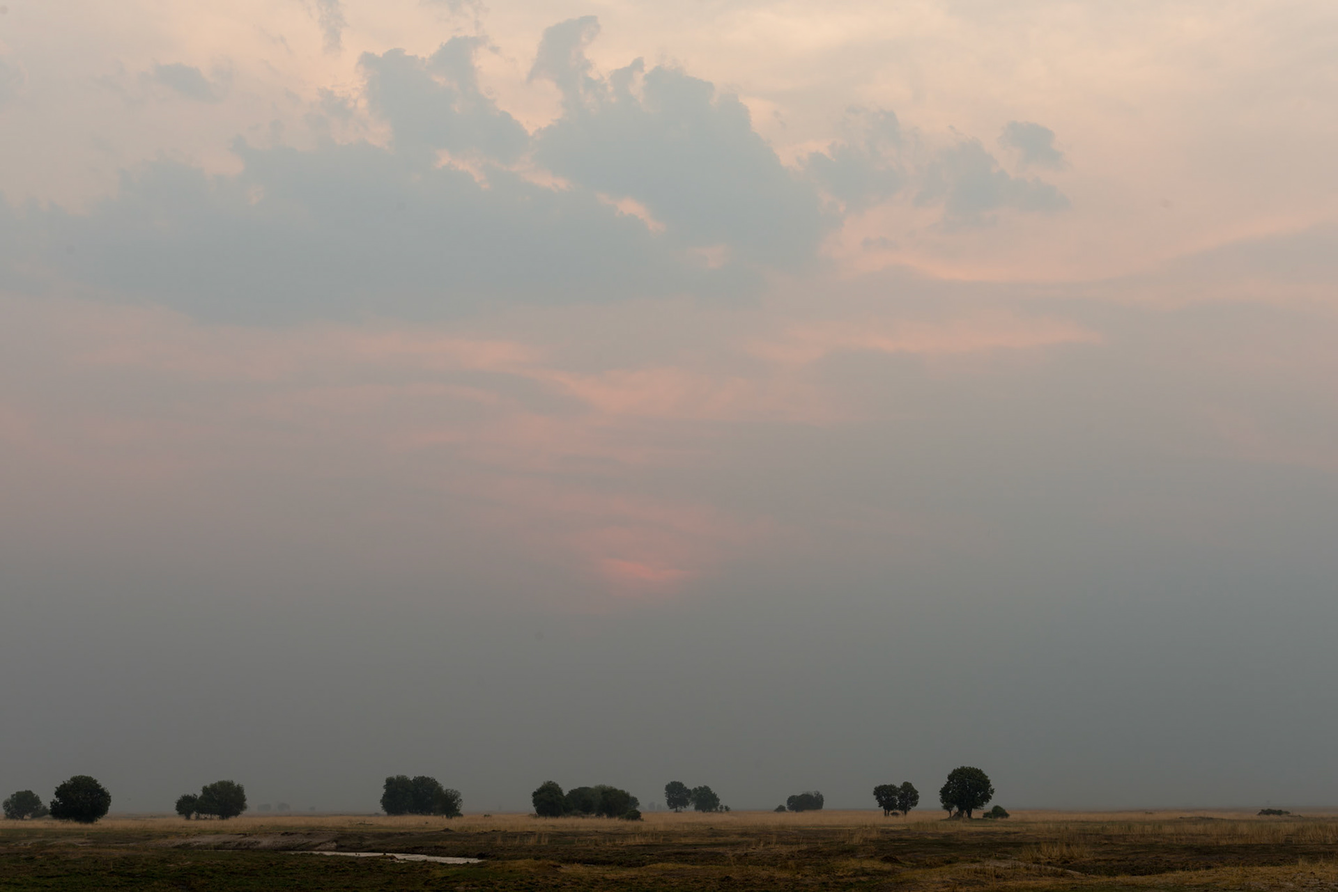 Linyanti River Floodplain, Botswana