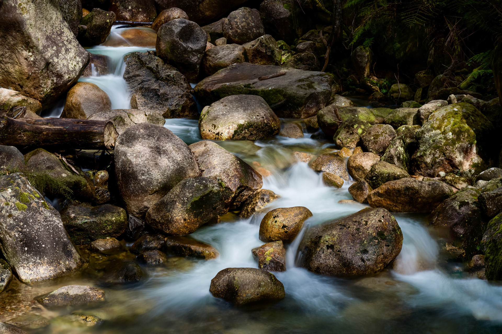 Rocky Mountain Creek