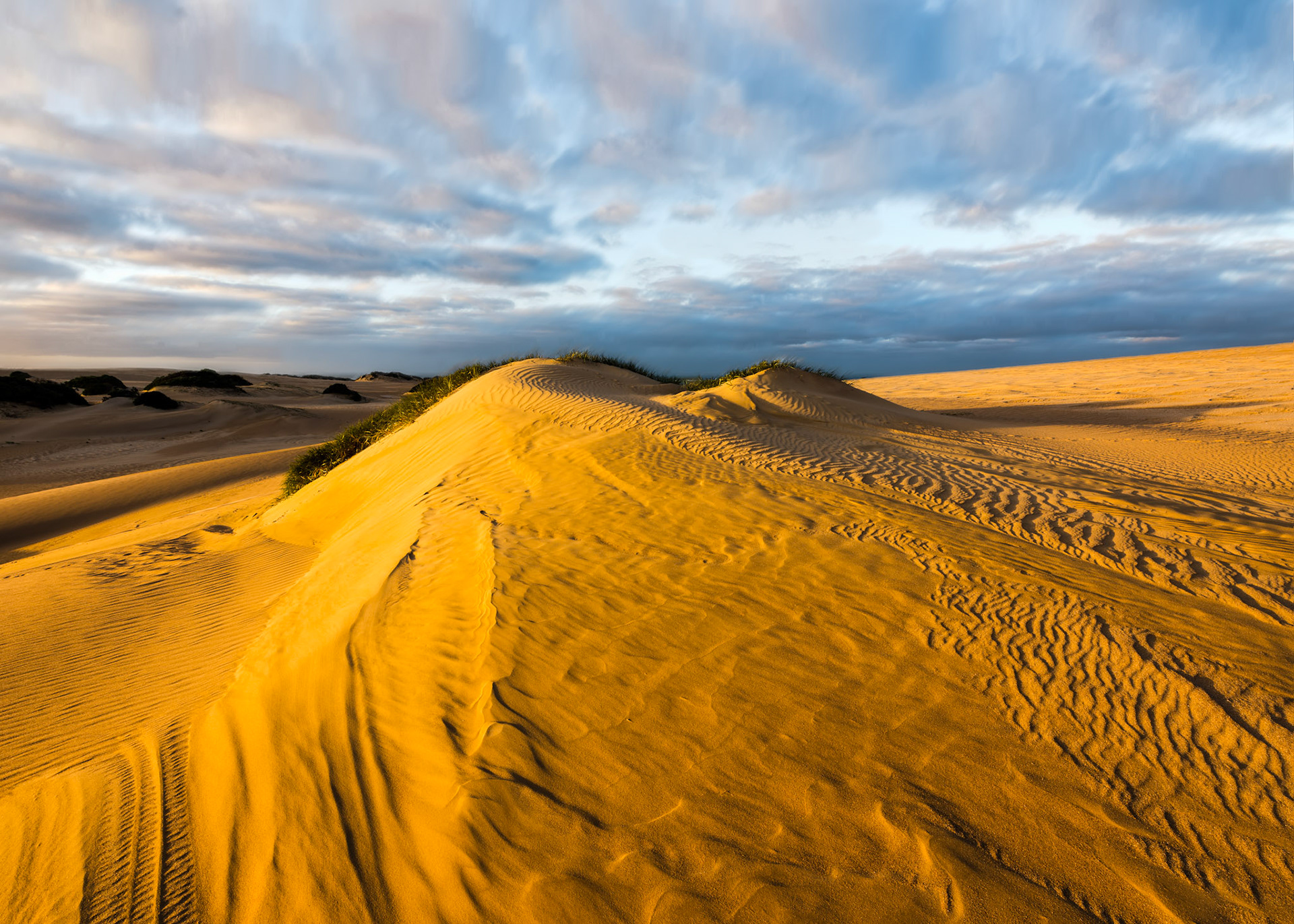 Title: Sand Dunes at Tea Tree Crossing / Caption: The Coorong is an incredible wilderness stretching over 110km along the Limestone Coast and Tea Tree Crossing is my favourite camp ground there. I climbed these forty metre sand dunes before dawn to get the views to the ocean and along the amazing lagoons. We had about 100 metres of water to drive through across the lagoon to get to this camp.