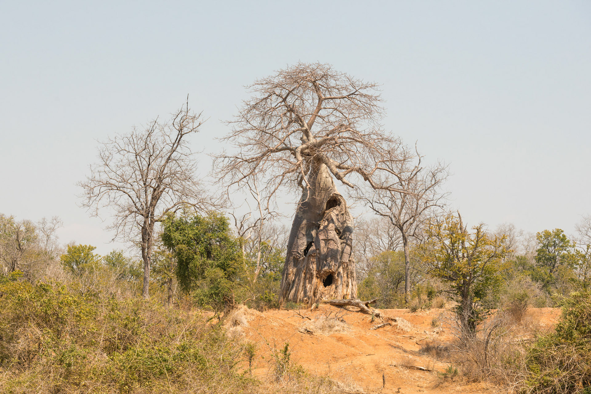 Mana Pools, Zimbabwe