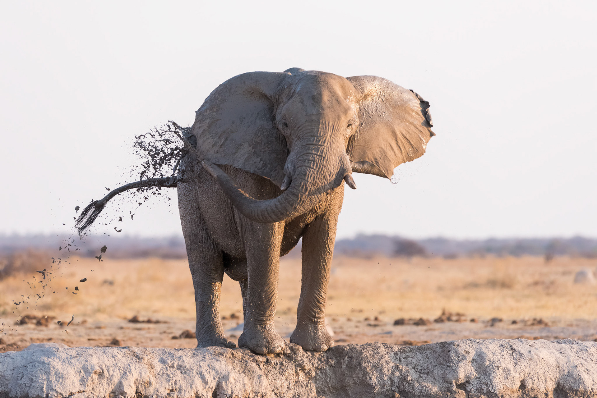 Gweta, Botswana
