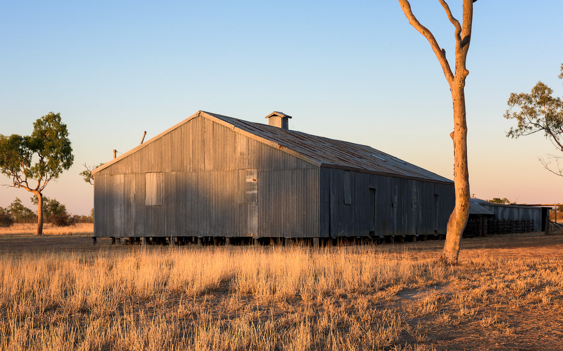 Title: Shearing Sheds at Moorinya / Caption:  A beautiful old wool shed, shearers quarters and shearing sheds can be visited in the remote Moorinya National Park in Queensland, Australia