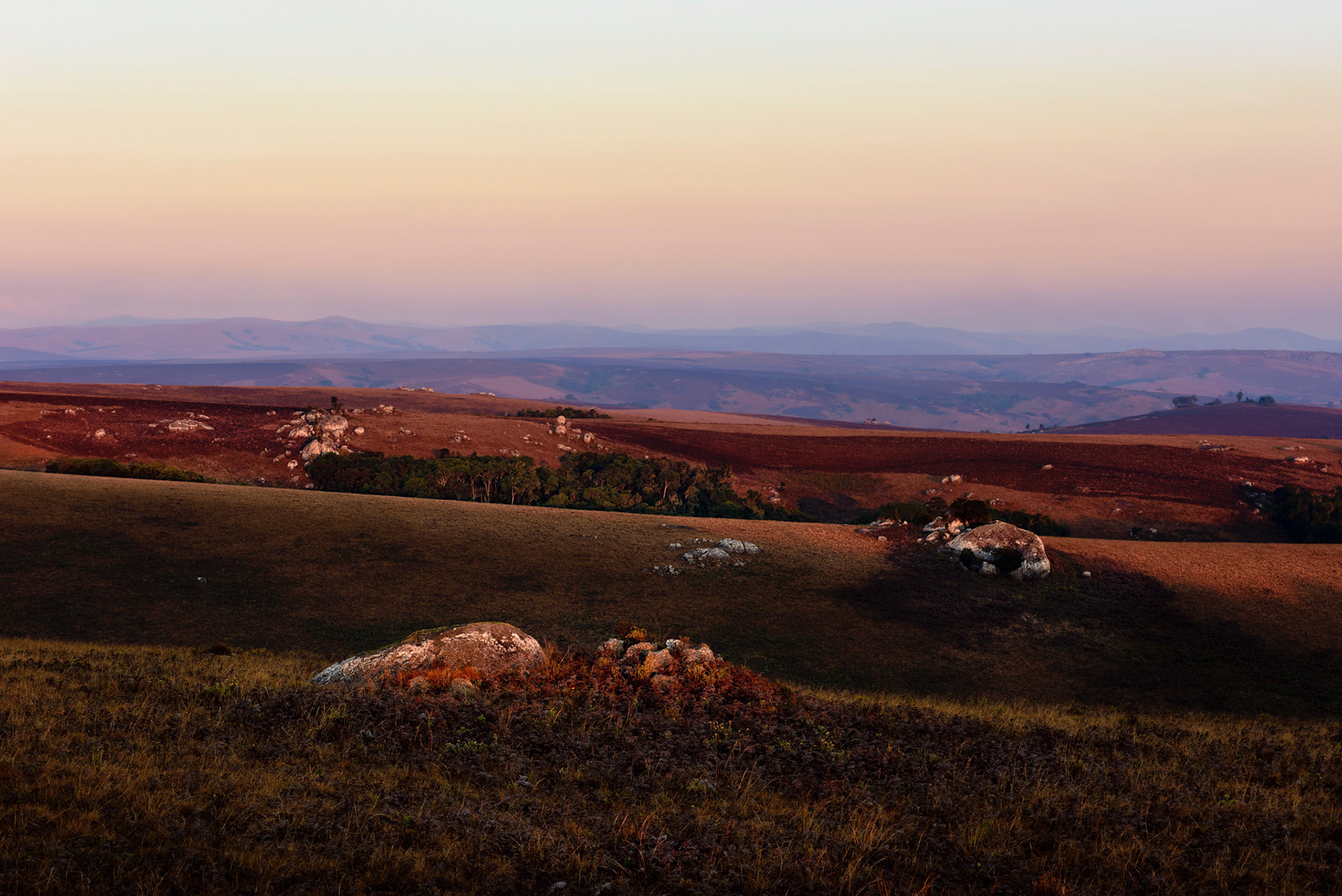 Nyika Plateau, Malawi