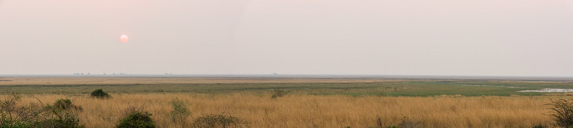 Linyanti River Floodplain, Botswana