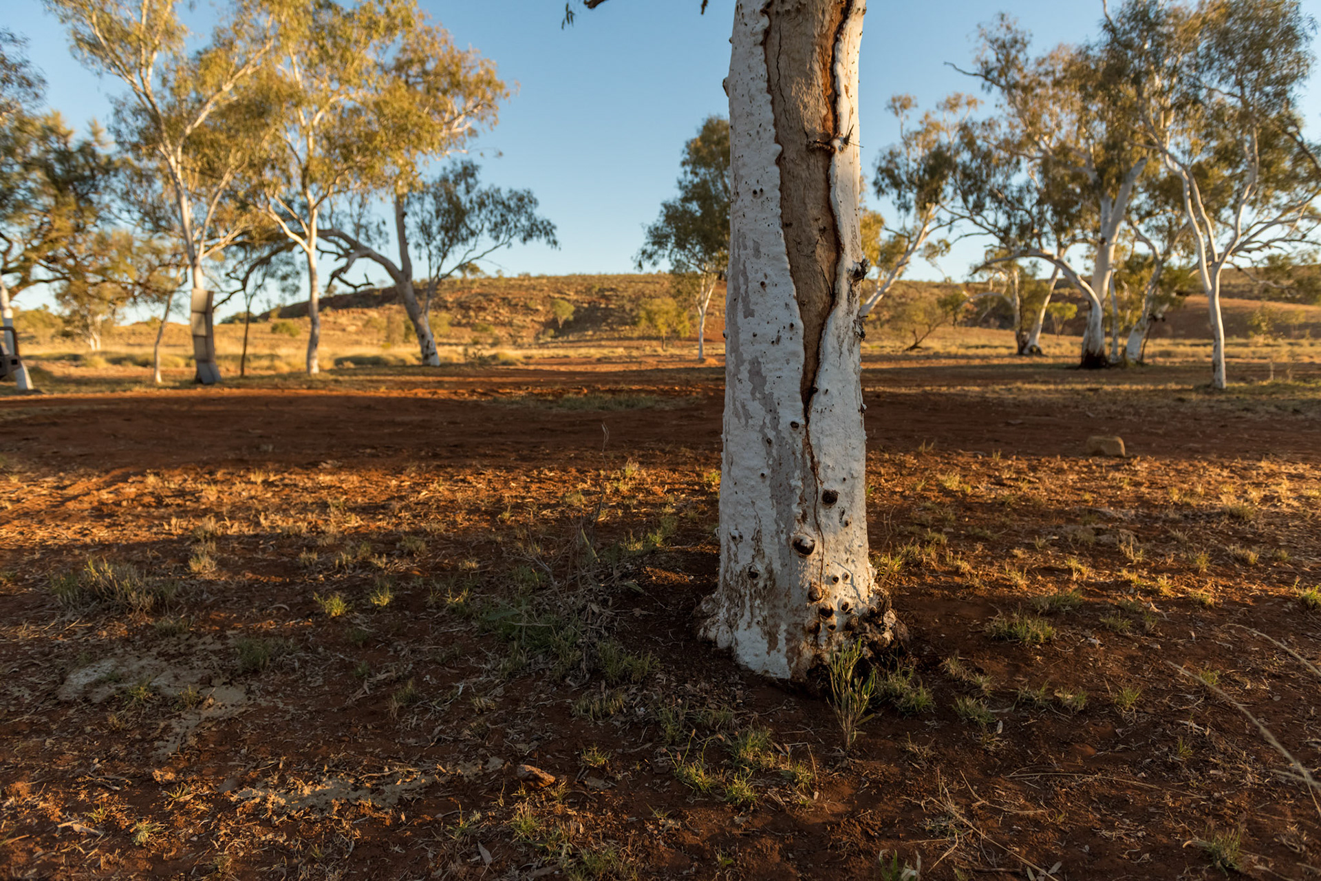WA Eastern Pilbara