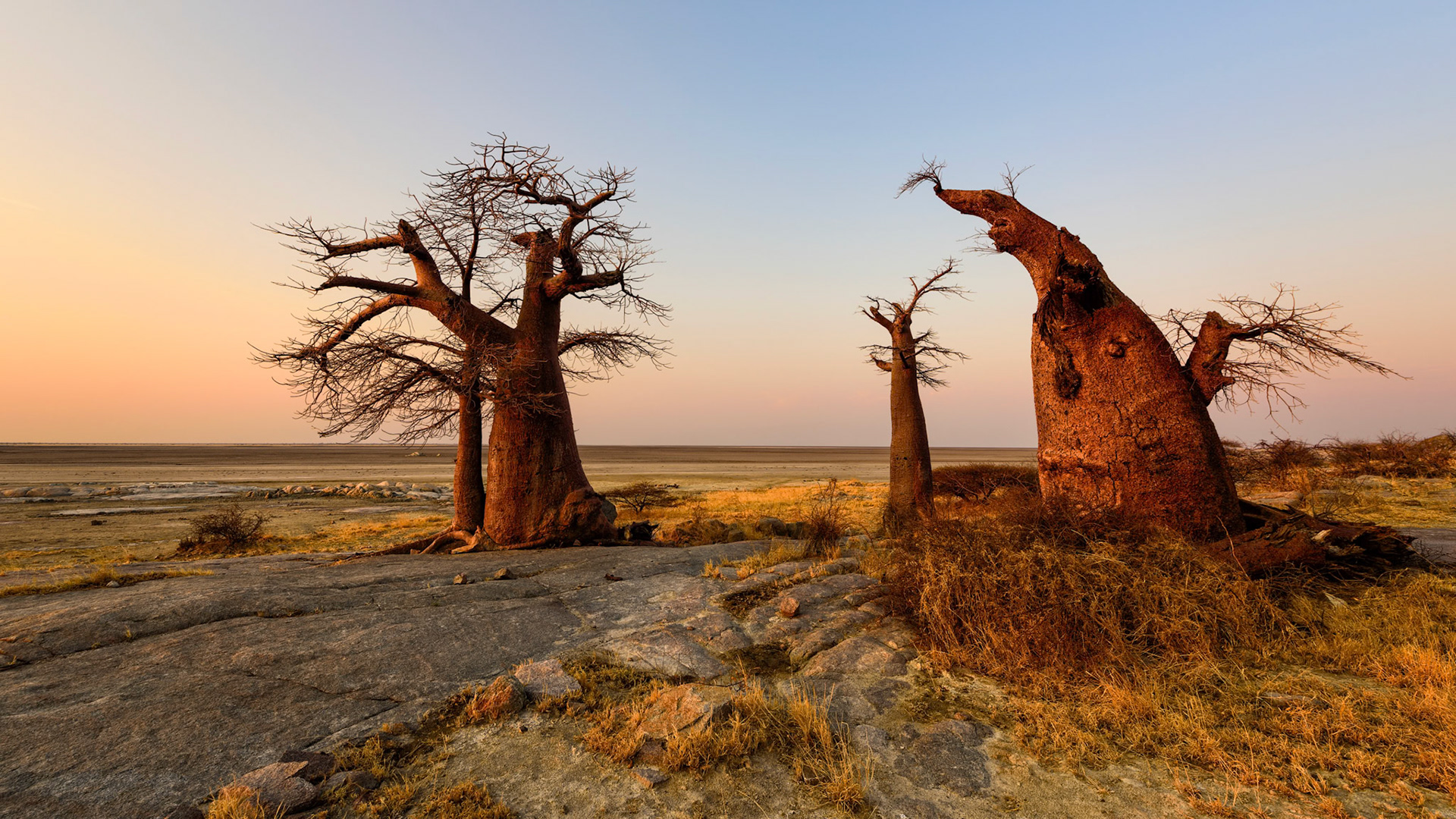 Kubu Island, Botswana