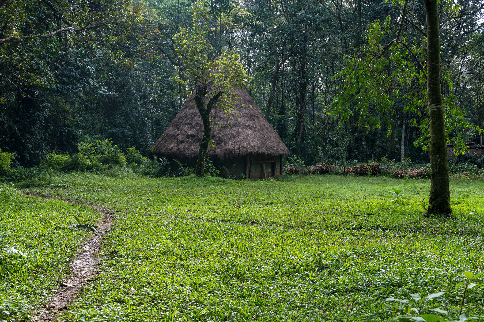 Africa
